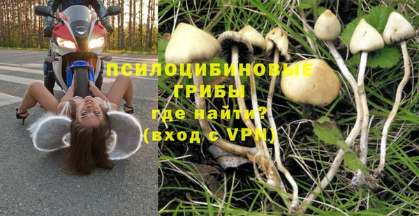 мяу мяу кристалл Магас