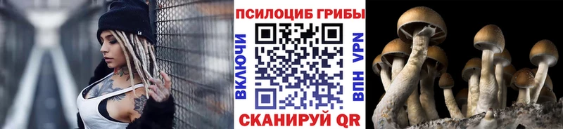 мориарти как зайти Меленки Псилоцибиновые грибы MAGIC MUSHROOMS